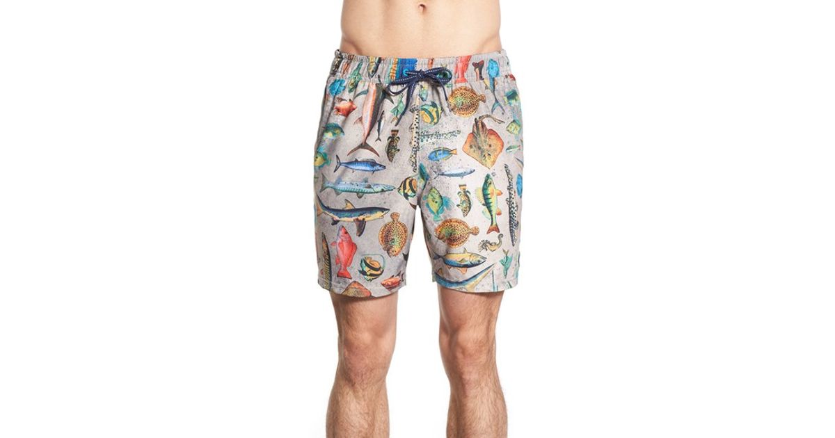 sperry swim shorts
