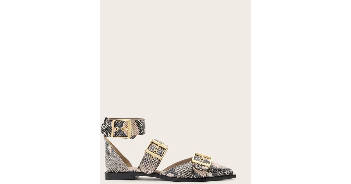 AllSaints Sutton Leather Pointed Toe Shoes in Natural Lyst UK