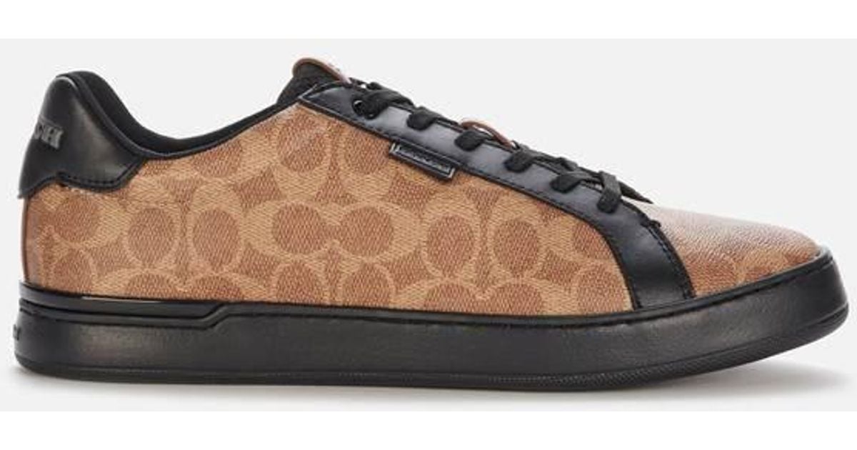 lowline signature sneaker coach