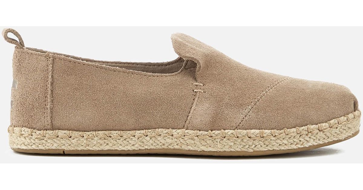 toms suede