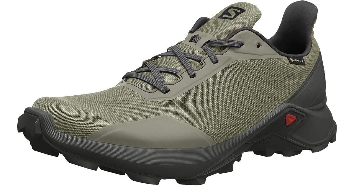 salomon alphacross gtx