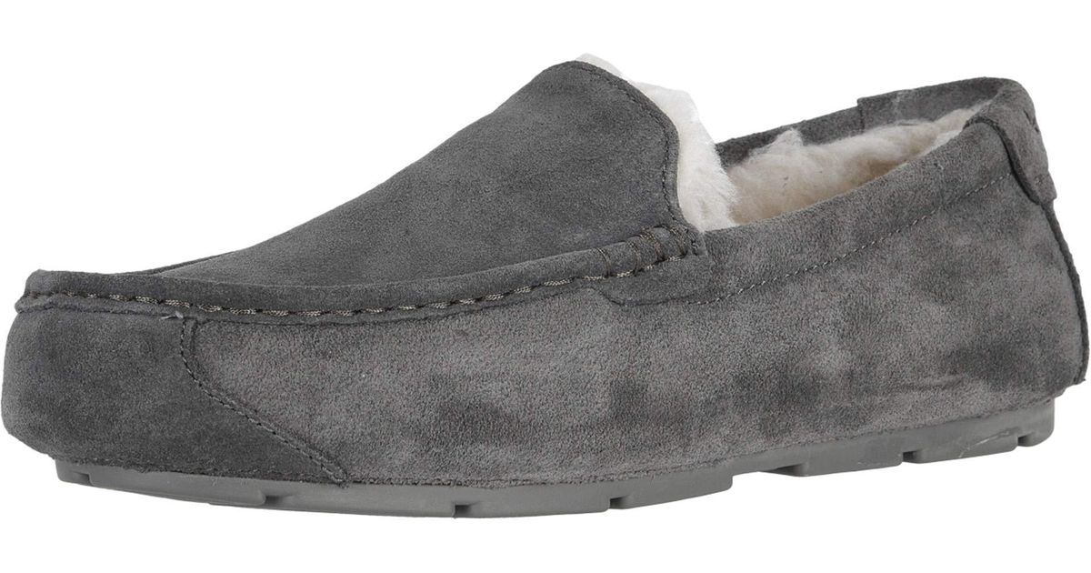 tipton ugg
