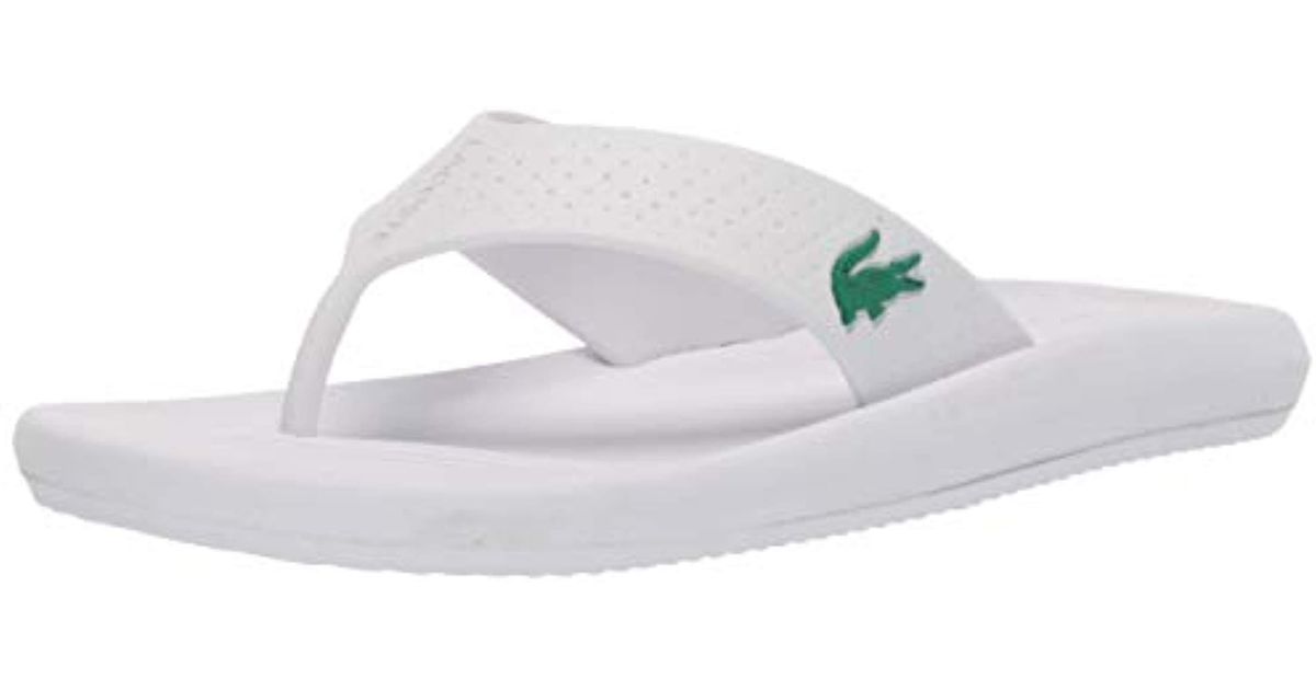 lacoste croco 219