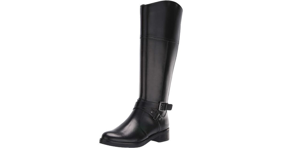 clarks amieson limit
