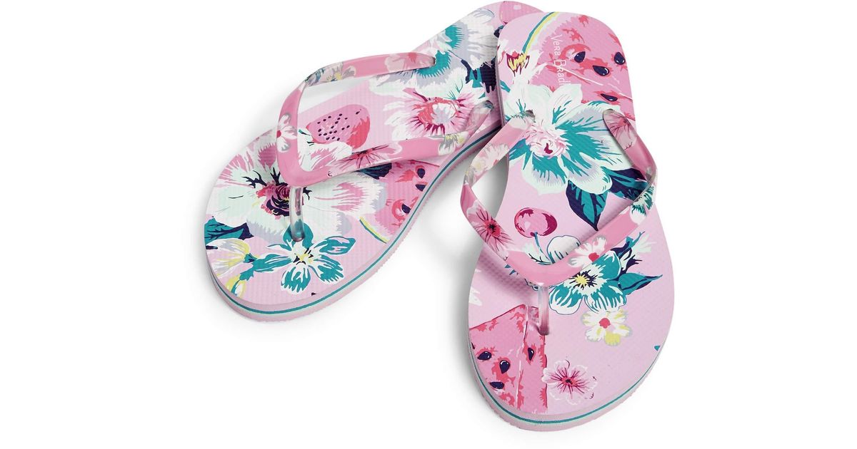 vera bradley flip flops amazon