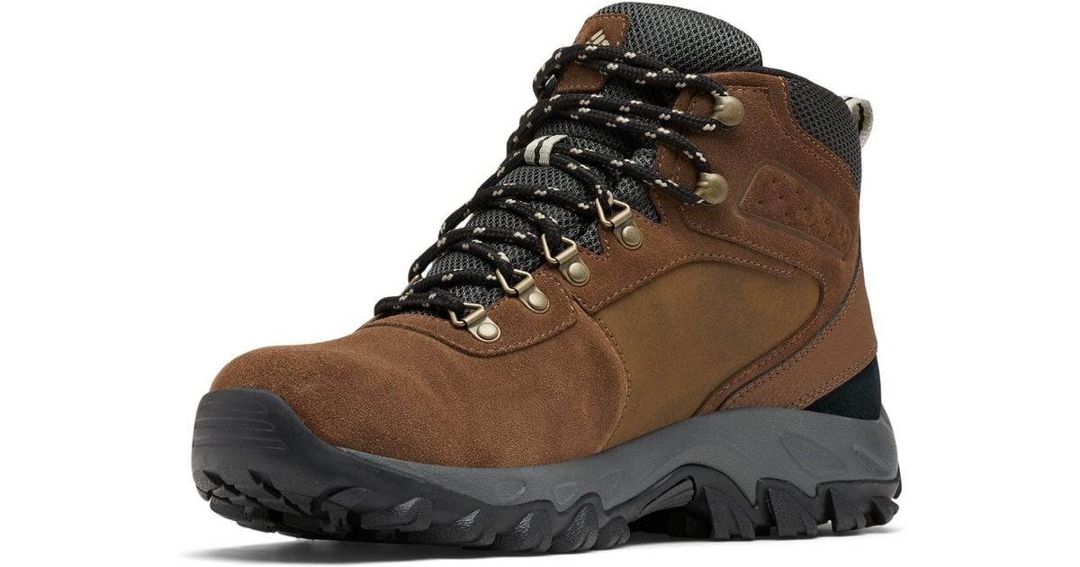 Newton ridge plus hot sale ii suede