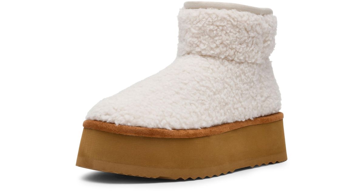 Ankle Boots Women Steve Madden Crue Platform Cozy Booties - Macy's Steve Madden Women's Crue Ankle Boot Black