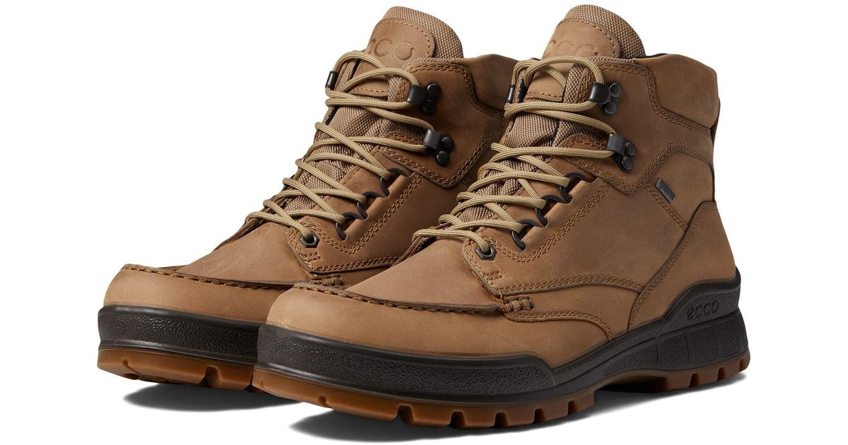 Ecco Leather Track 25 High Gore-tex Waterproof Hiking Boot in Brown for ...