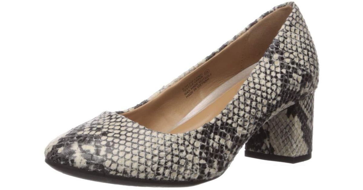 aerosoles eye candy pump