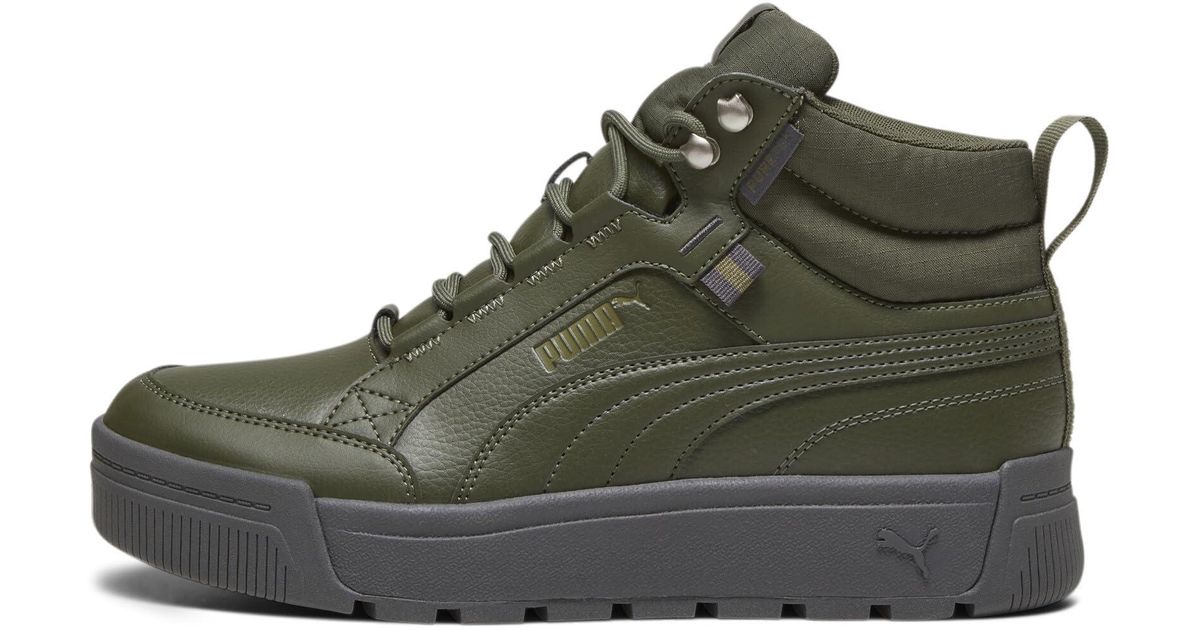 tarrenz sb puretex shoes