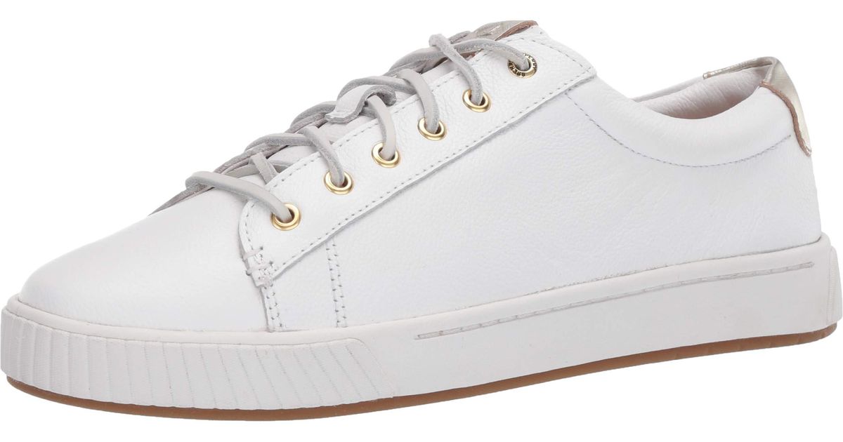 sperry anchor sneaker