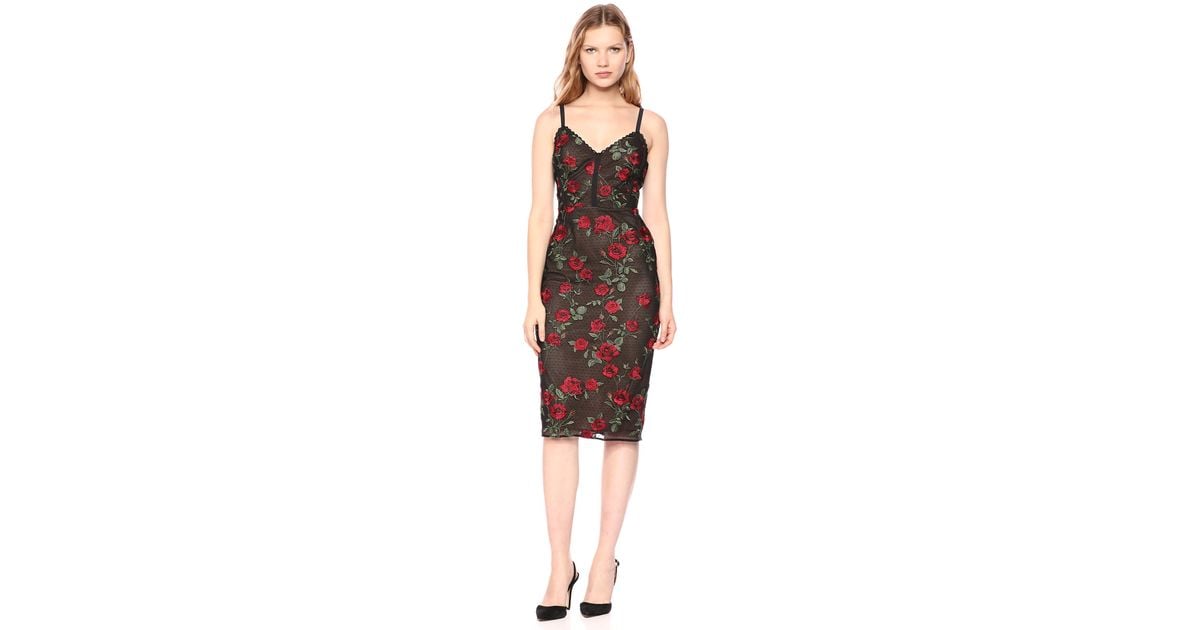 bcbg embroidered cocktail dress