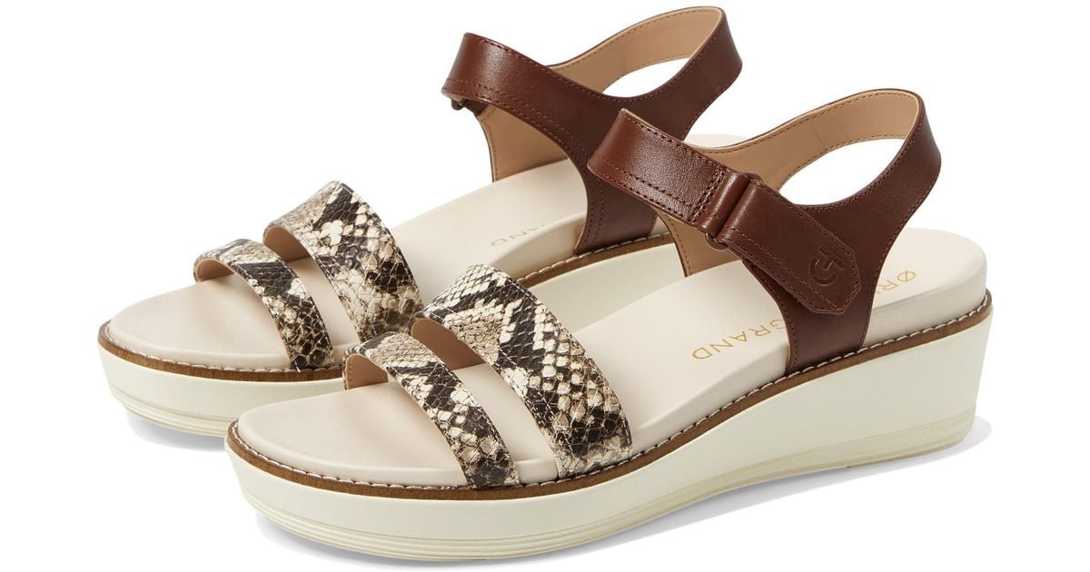 cole-haan-Dark-Cuo-Sanddollar-