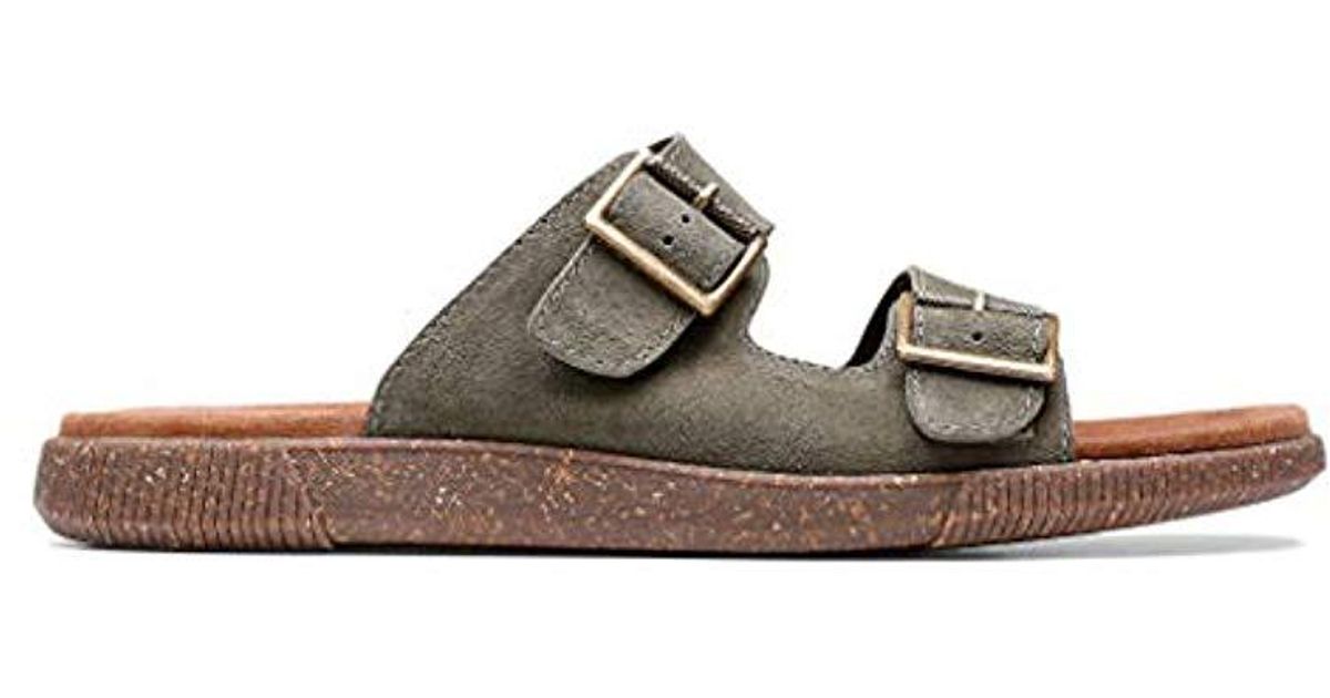 clarks vine cedar