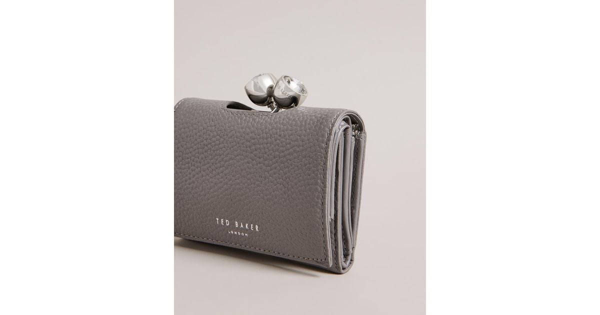 Wallet Ted Baker Silver Bag Ted Baker Rosiela Small Crystal Bobble