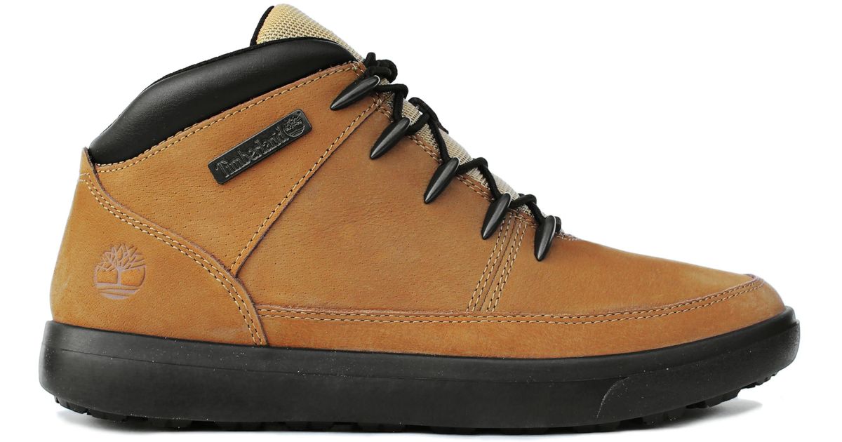 Leather Chukka Timberland Men's Ashwood Park Winter Boots