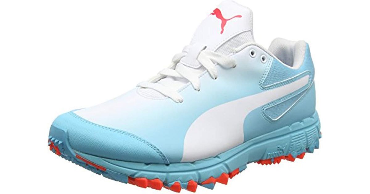 puma blue cricket shoes