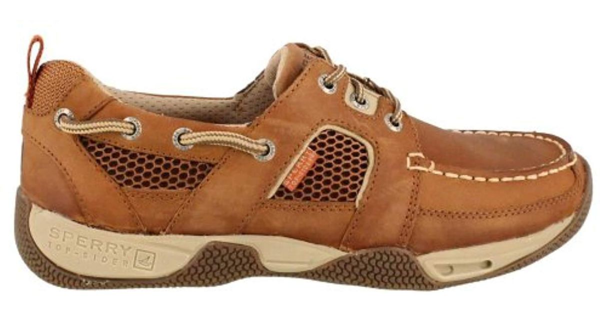 sperry sea kite sport moc tan