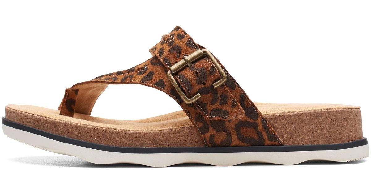 clarks leopard