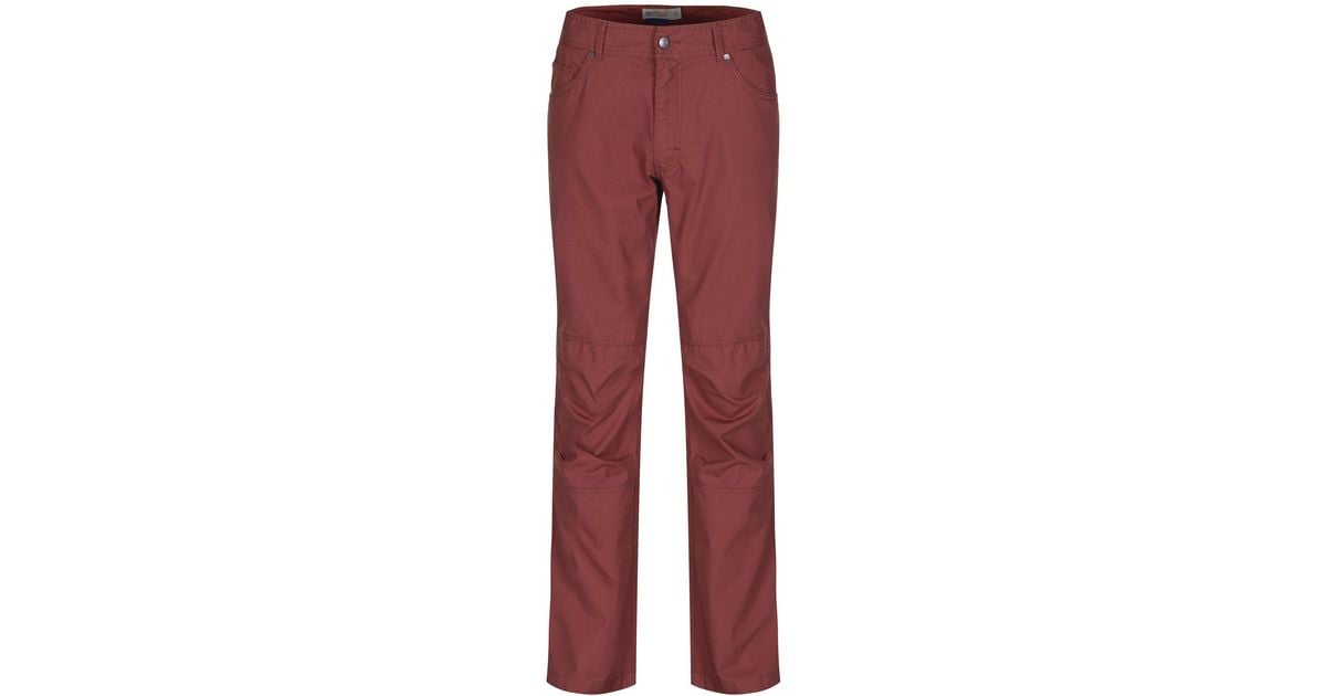 cotton walking trousers