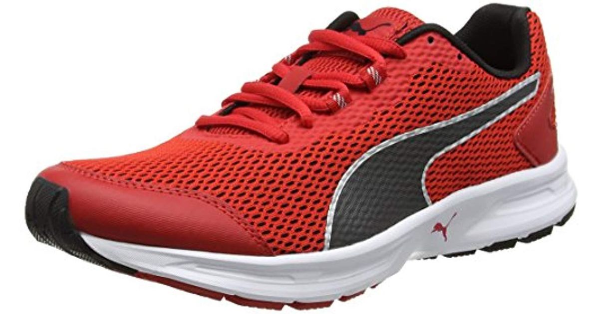 puma descendant v4