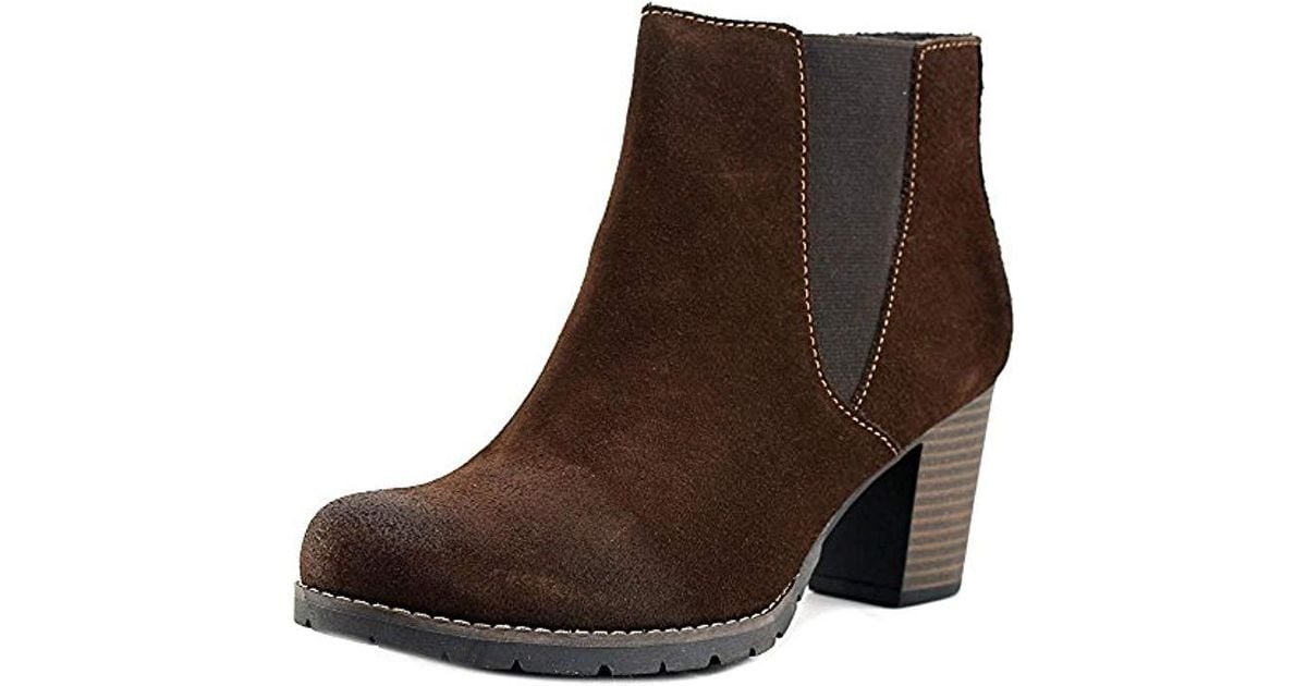 clarks pause camelia