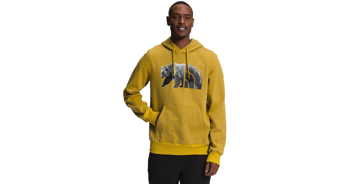 North face black deals and gold hoodie