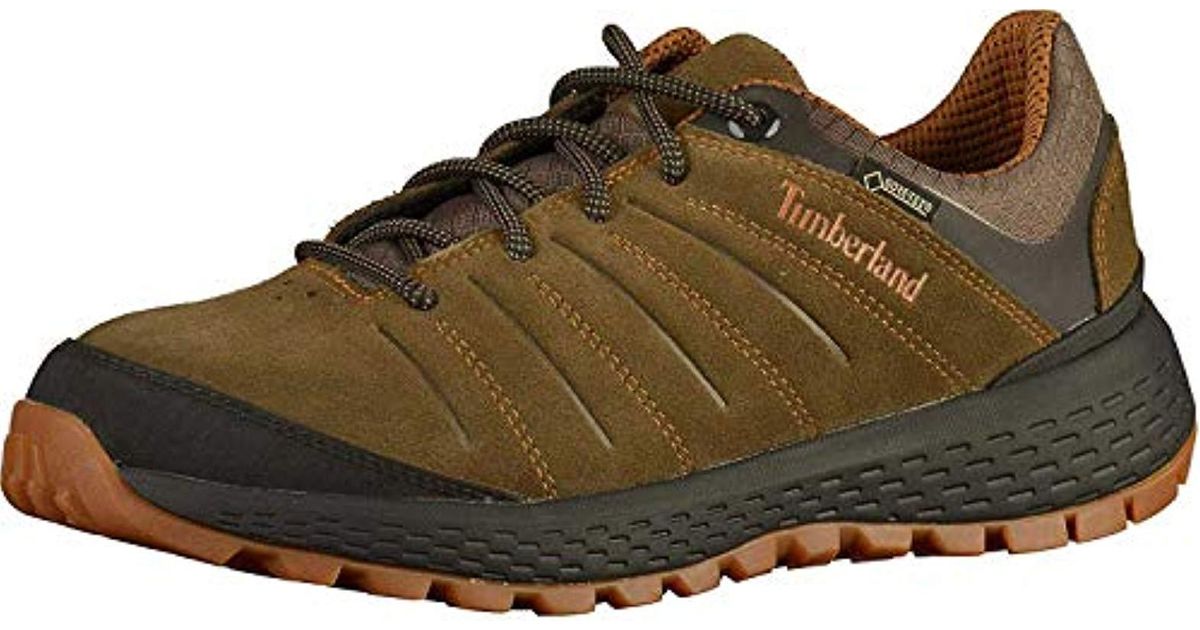 Stemmen Rennen instant Timberland Parker Ridge Low Gtx Shoes Grape Leaf Shoe Size Us 11 | Eu 45  2019 for Men | Lyst UK
