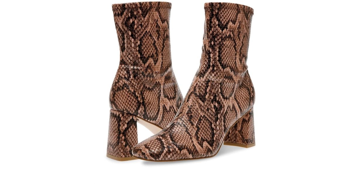 Steve Madden Brown Harli