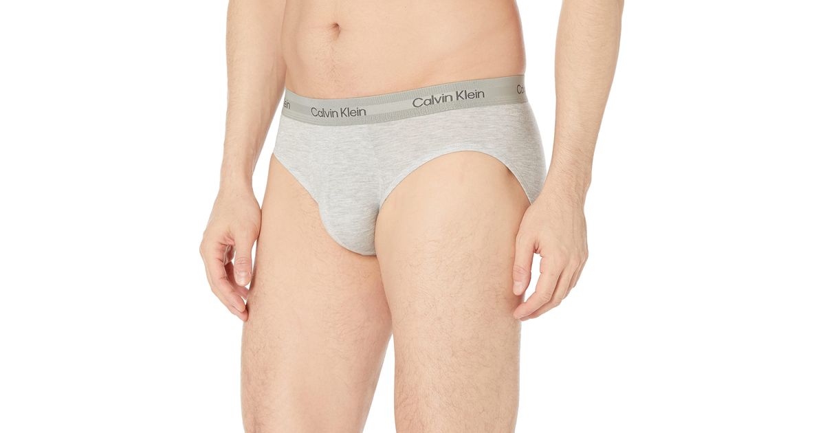 Calvin Klein Ultra Soft Modern Modal Hip Brief in Natural for Men