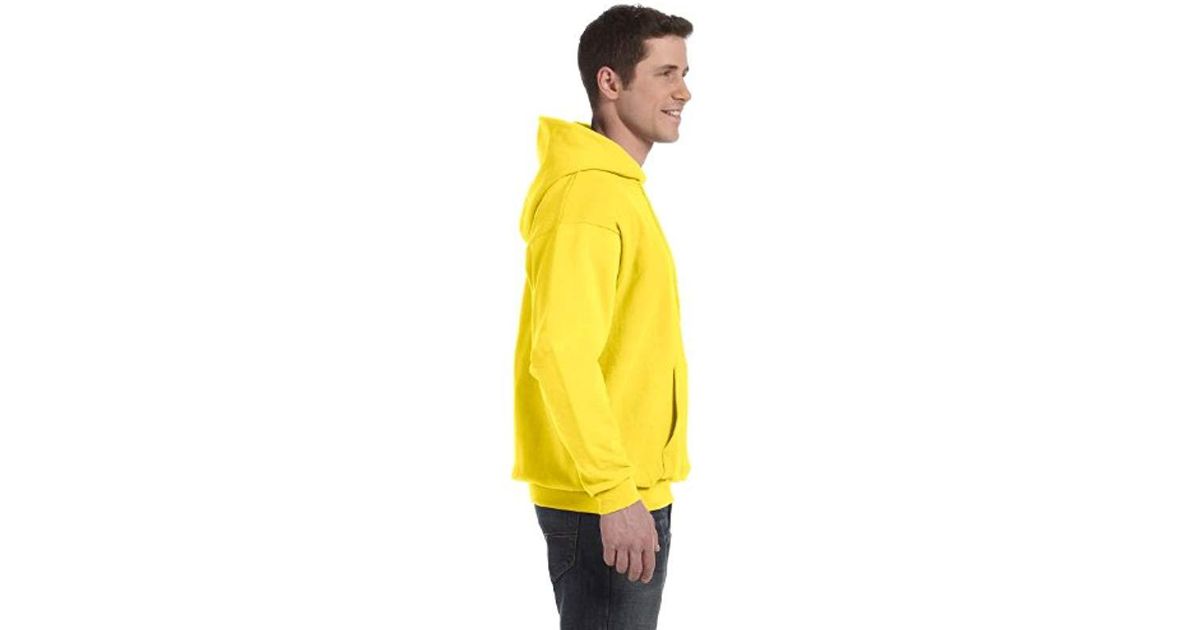 hanes men's pullover ecosmart fleece hooded sweatshirt