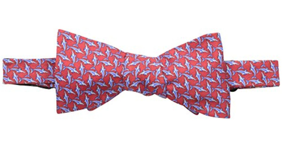 tommy bahama bow tie