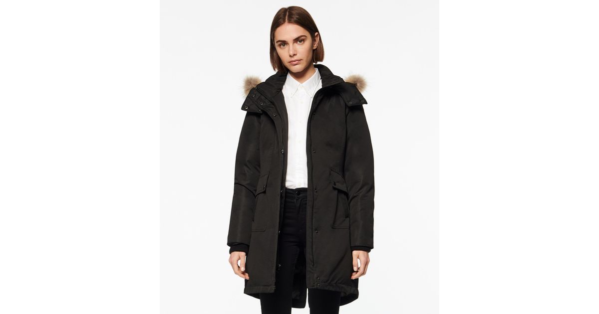 eddie bauer women's winter parkas