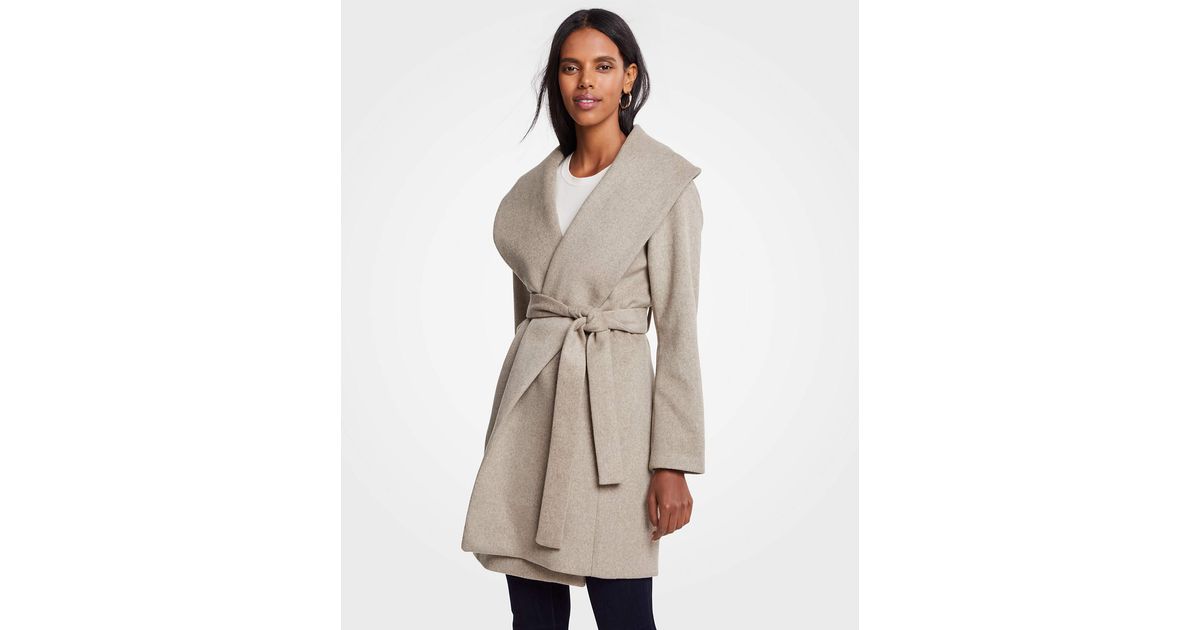 ann taylor coats petite