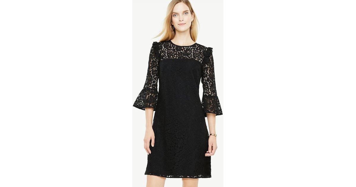 ann taylor lace dress