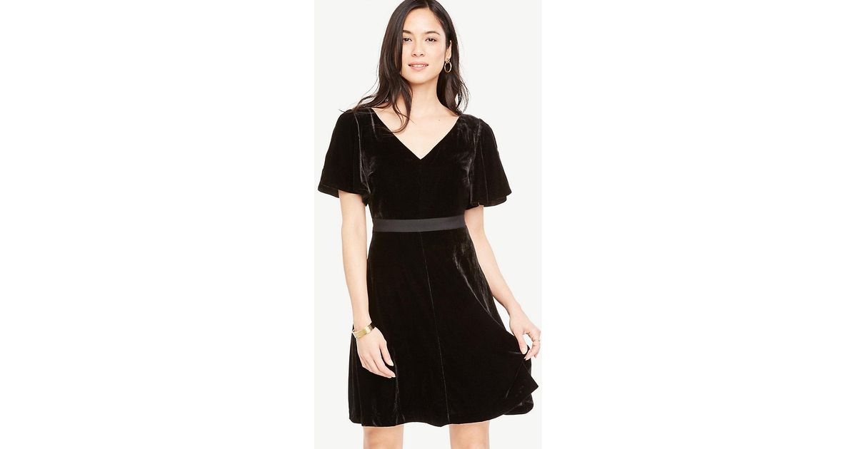 ann taylor velvet dress
