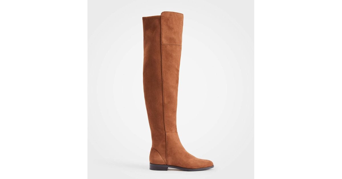 ann taylor suede boots