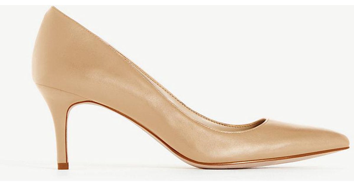 ann taylor eryn pumps