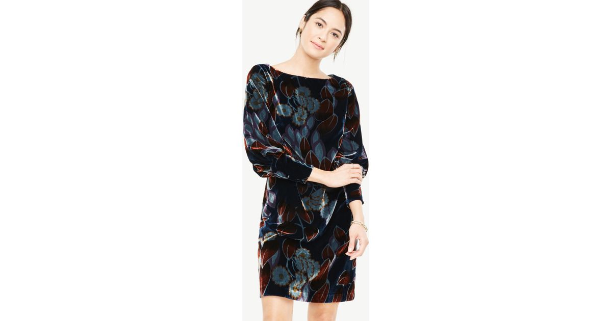 ann taylor velvet dress