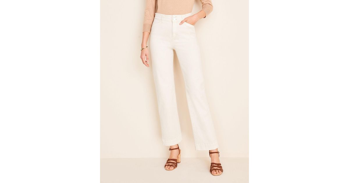 Ann Taylor Denim Easy Straight Jeans In 