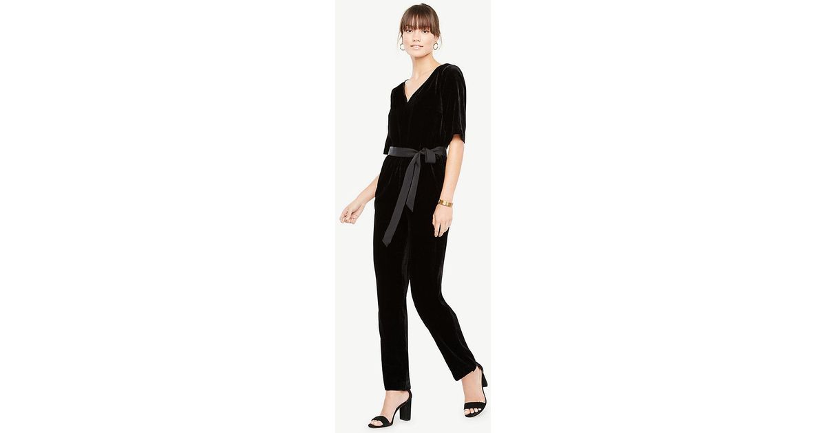 ann taylor velvet jumpsuit