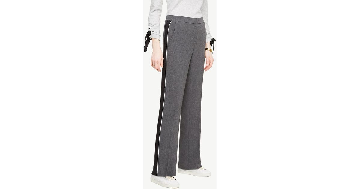 track pants petite