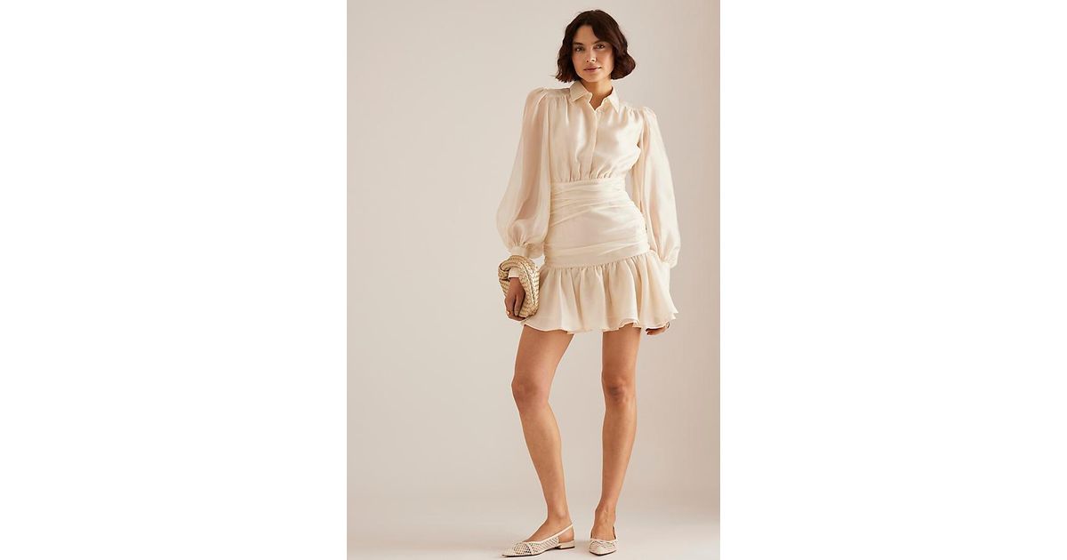 bardot milani drop-waist organza mini shirt dress Bardot Milani Organza Mini Dress