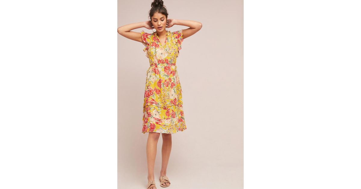 Dolan Dresses