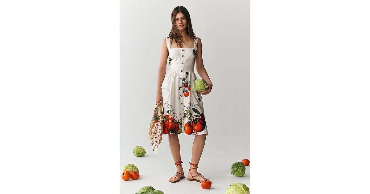 maeve button-front fit & flare tomato midi dress Maeve Button-Front Tomato Midi Dress in White