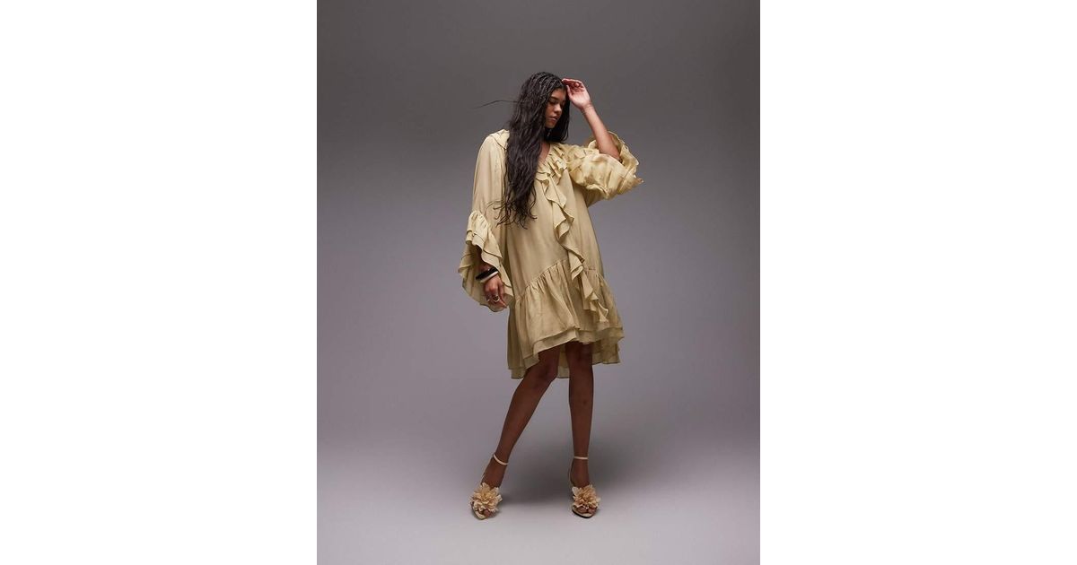 Sheer Chiffon Mini Dress