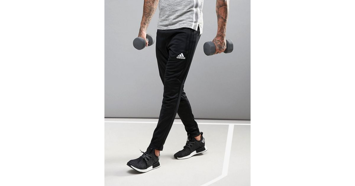 adidas training tapered pants