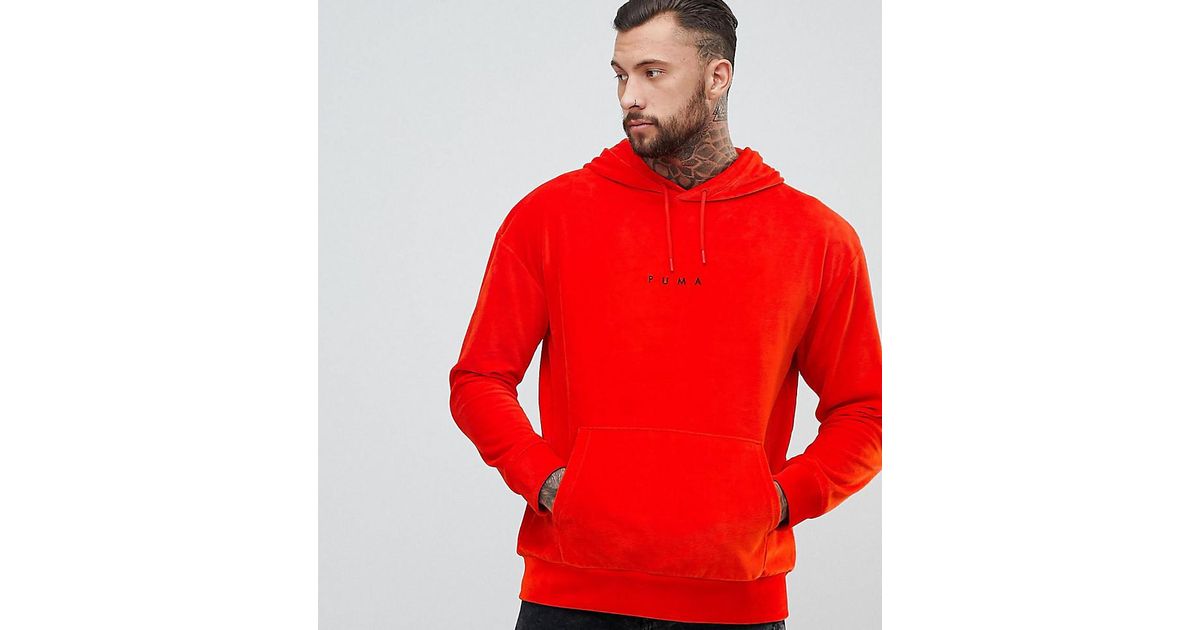 puma velvet sweatshirt