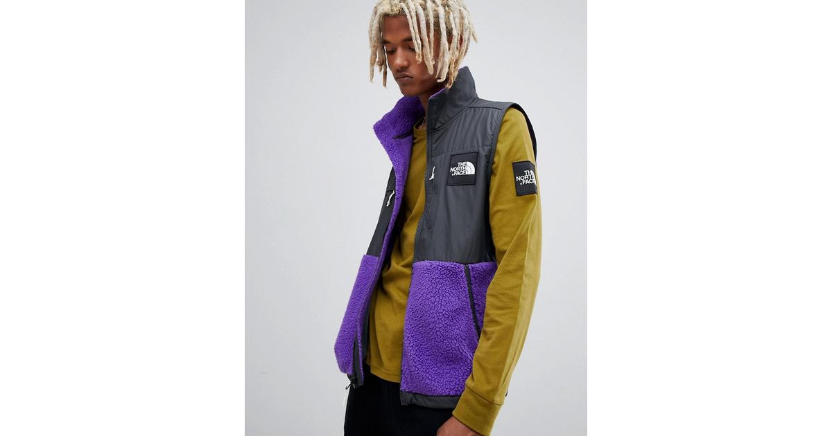 purple north face denali jacket
