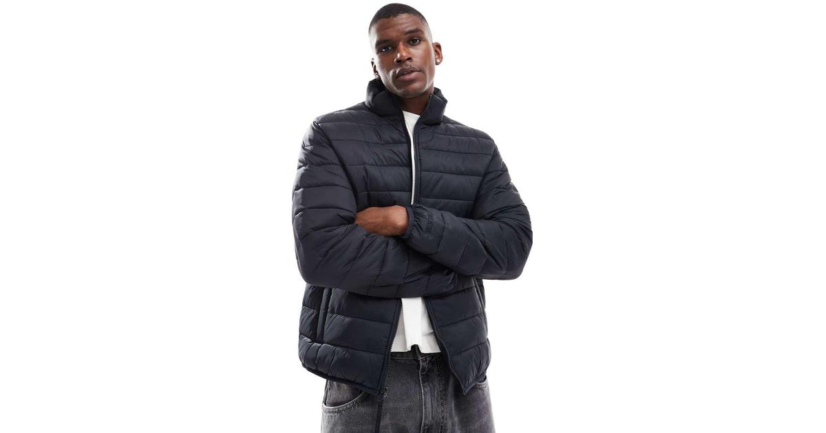 Chaqueta Negra Acolchada Con Cuello Alzado De Tejido De Grosor